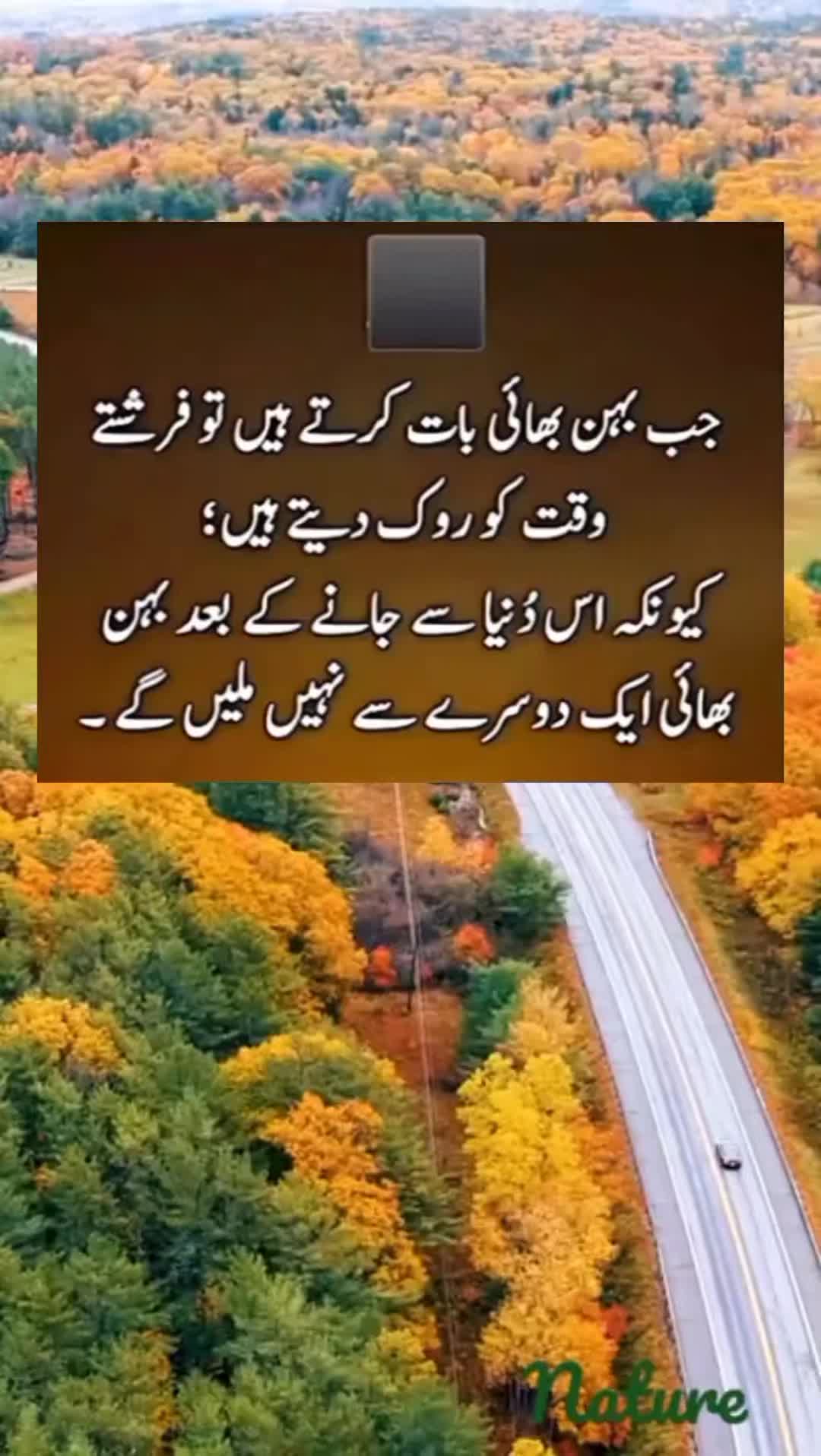 @sharaiz