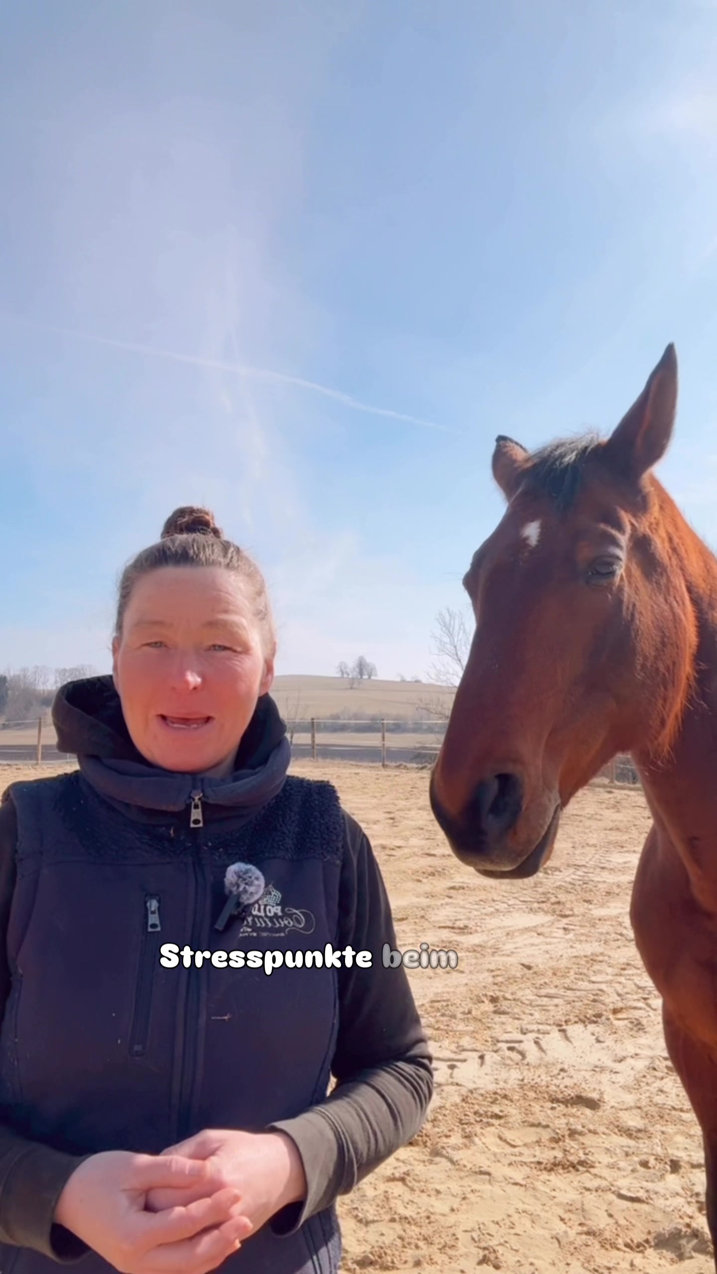 @equine_body_in_balance