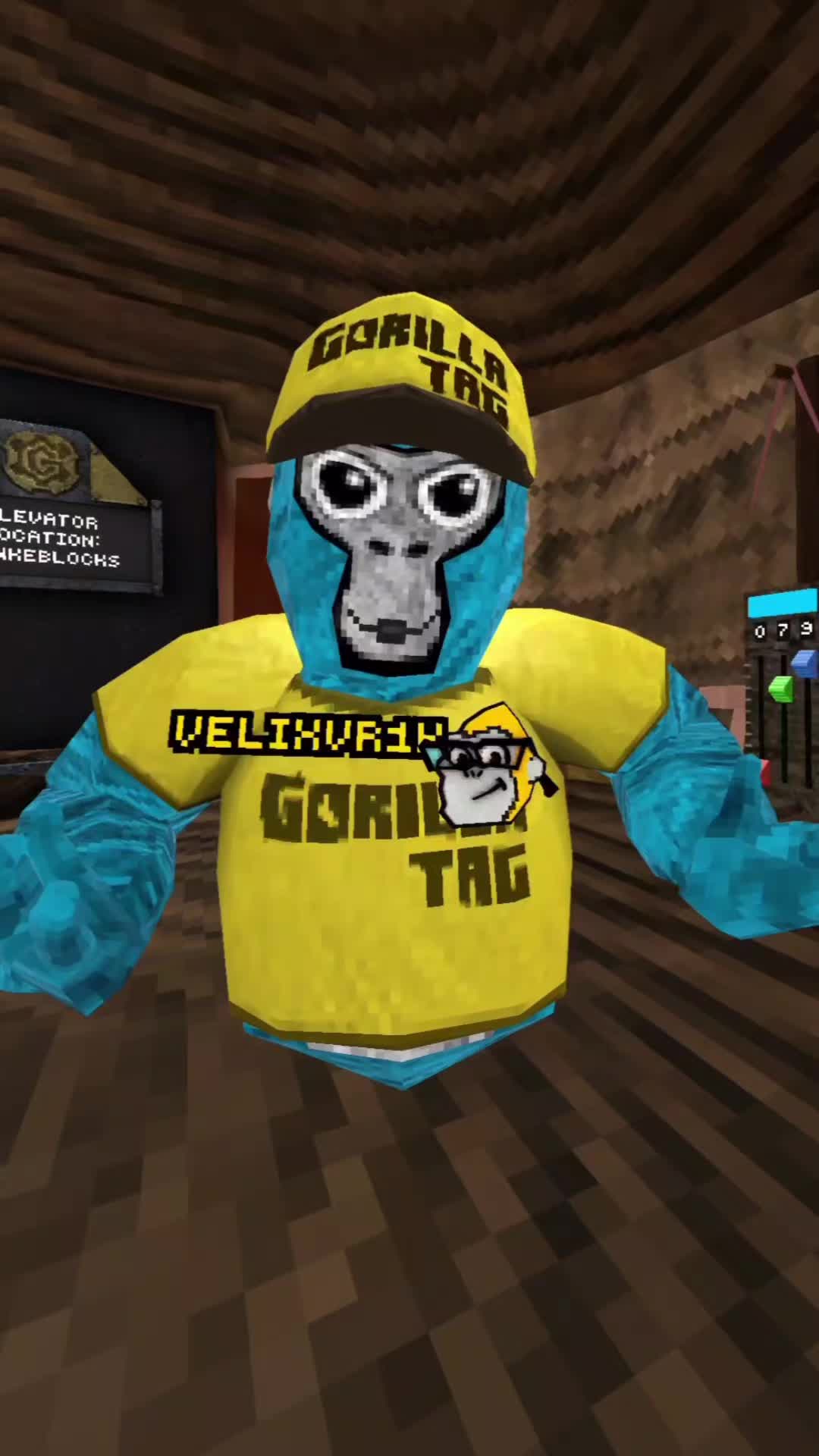 @VelixVR [1k]
