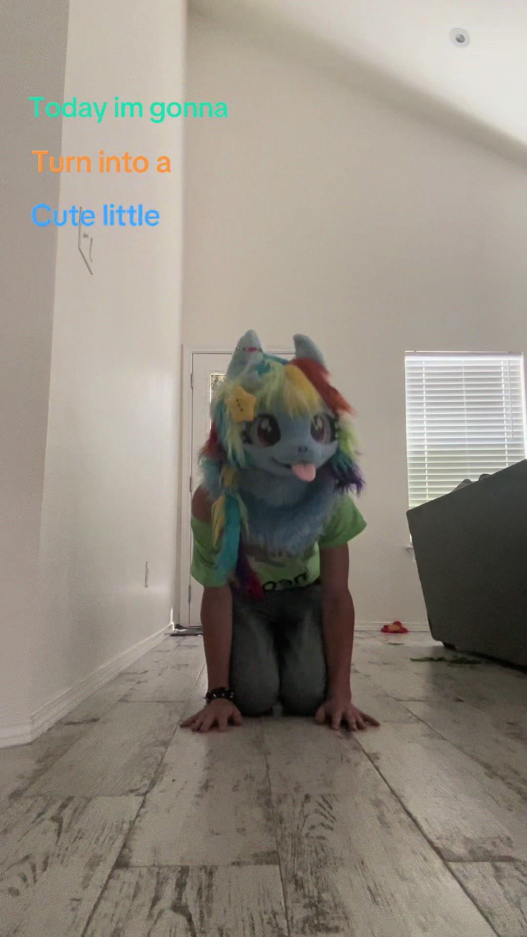 @Faye/Dashie/Xobunni