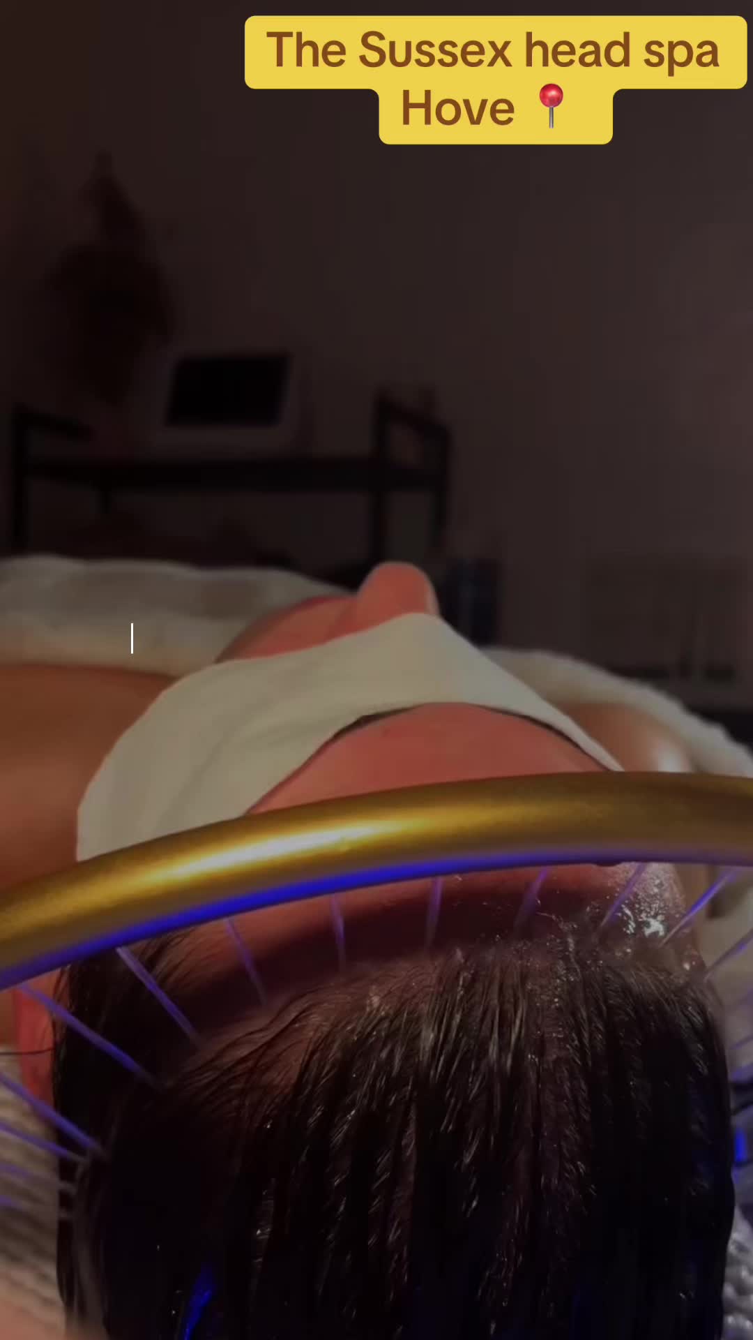 @the.sussex.head.spa