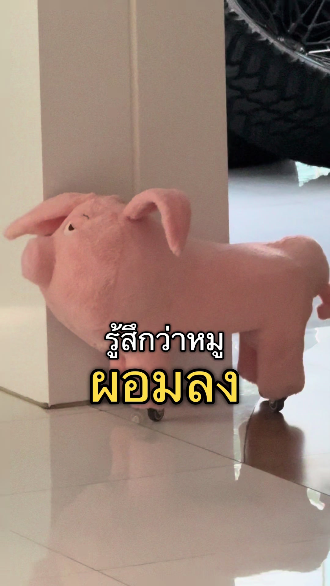@raiiny93
