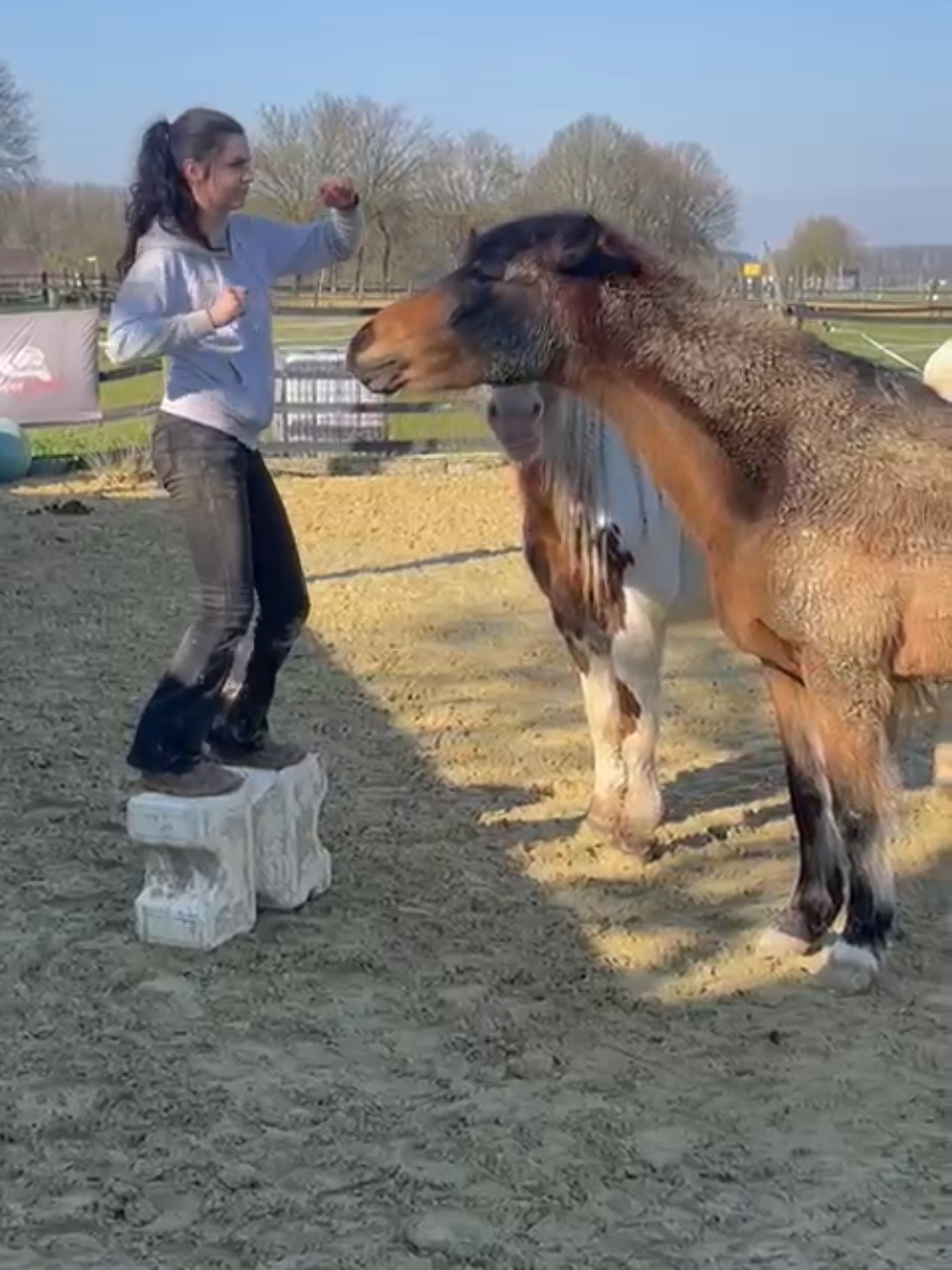 @Lisas kleine Ranch 🐴