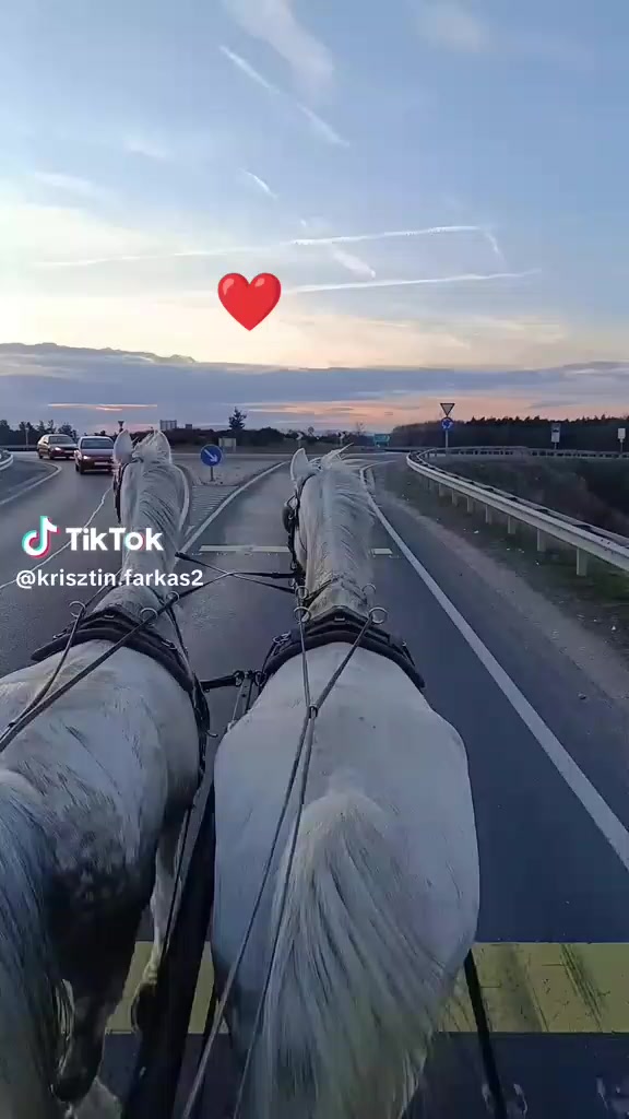 @Dony. ❤️❤️ ❤️