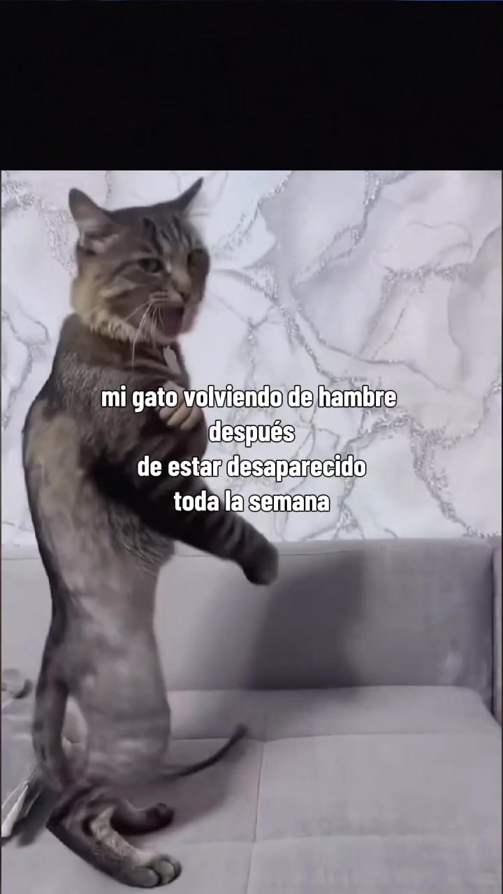 @viajero