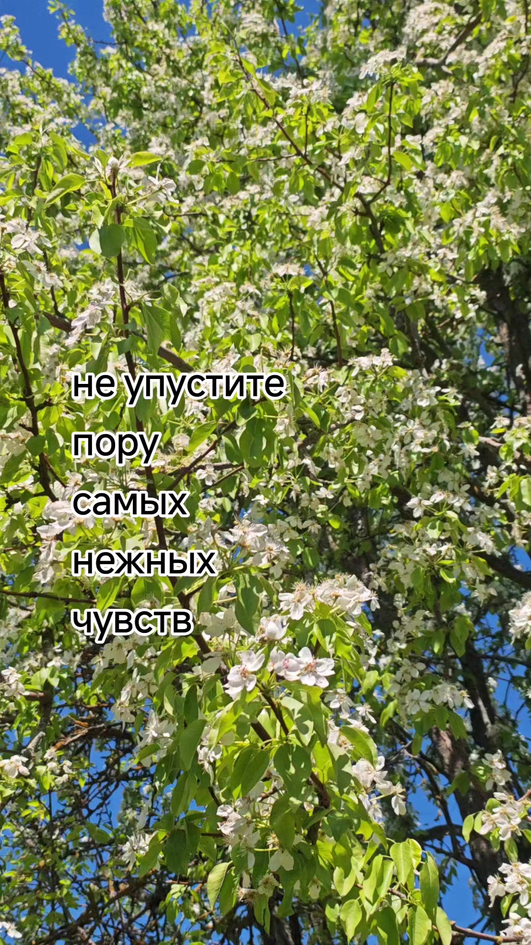 @Картофель Могилёв