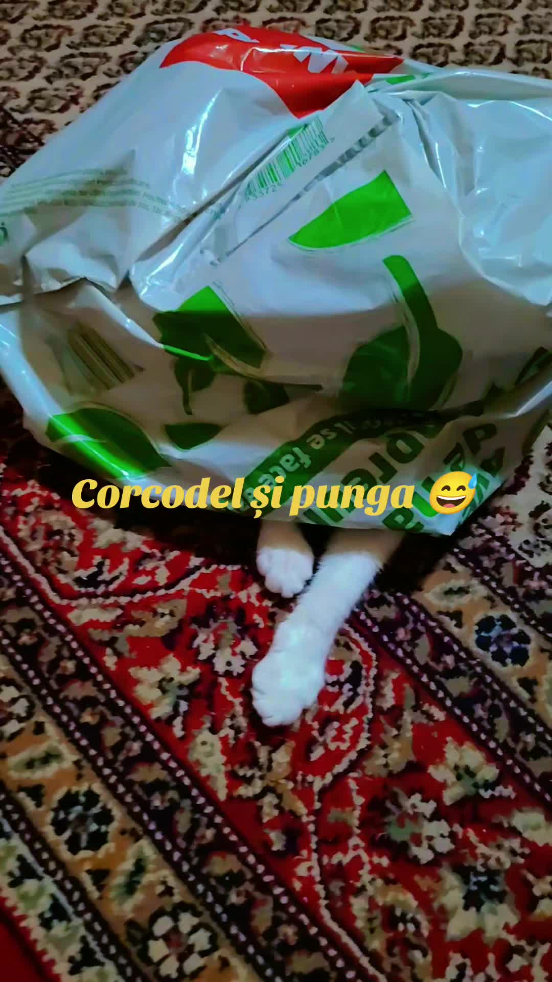 @Flavia Ionela Molea