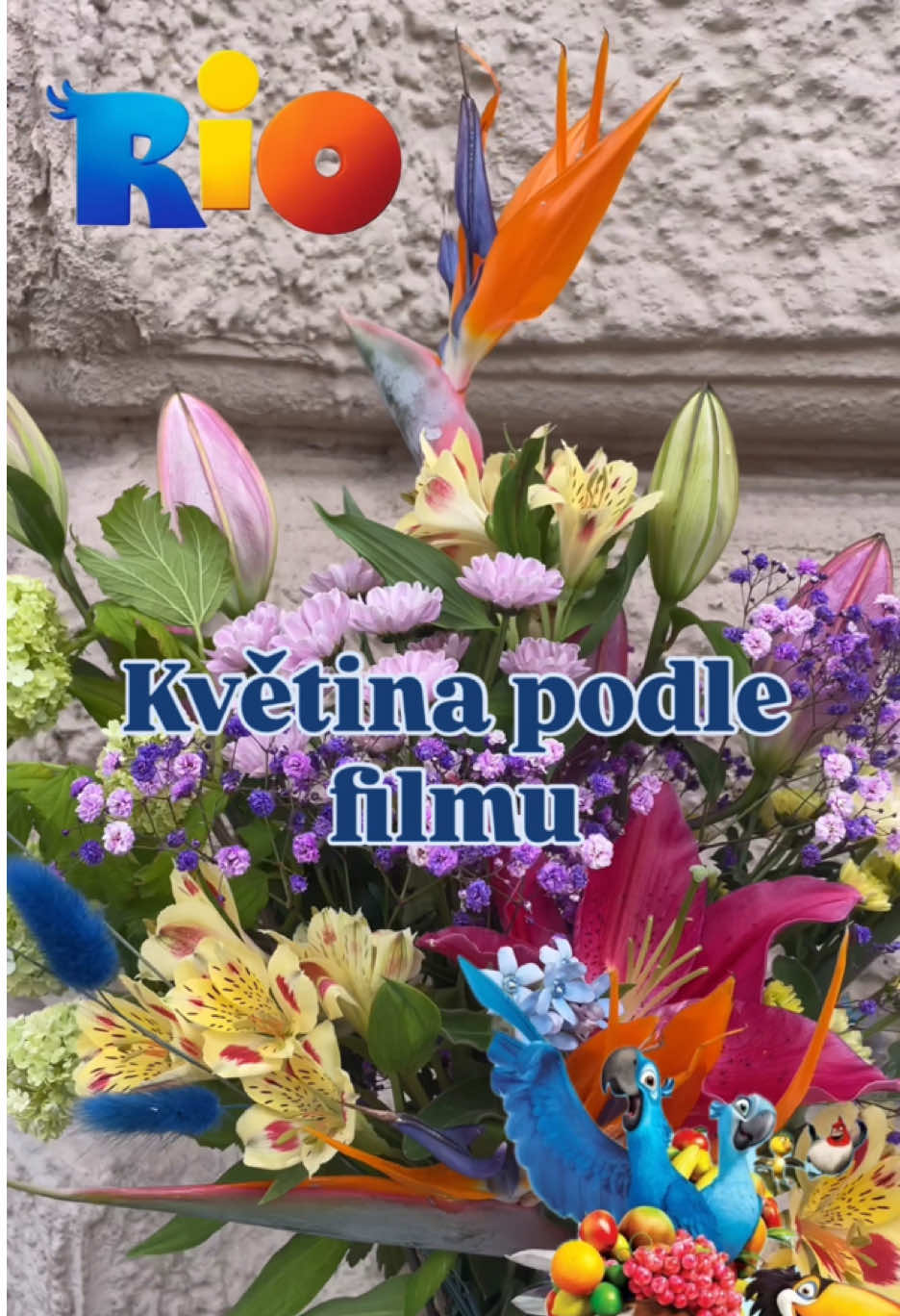 @kvetinarstviGracia