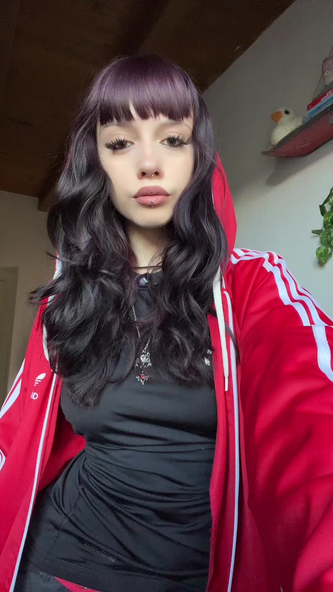 @lasagna