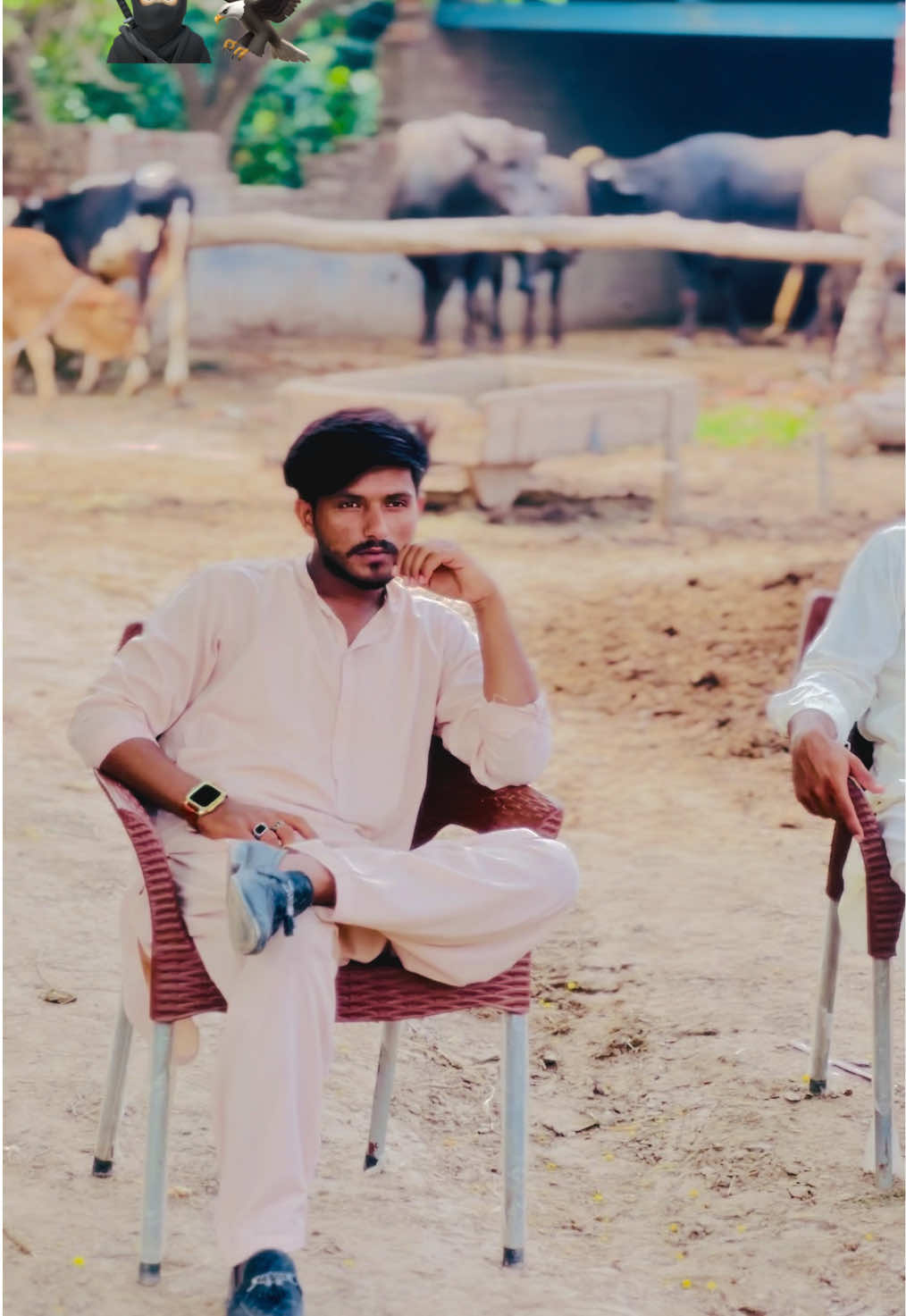 @Tahir007