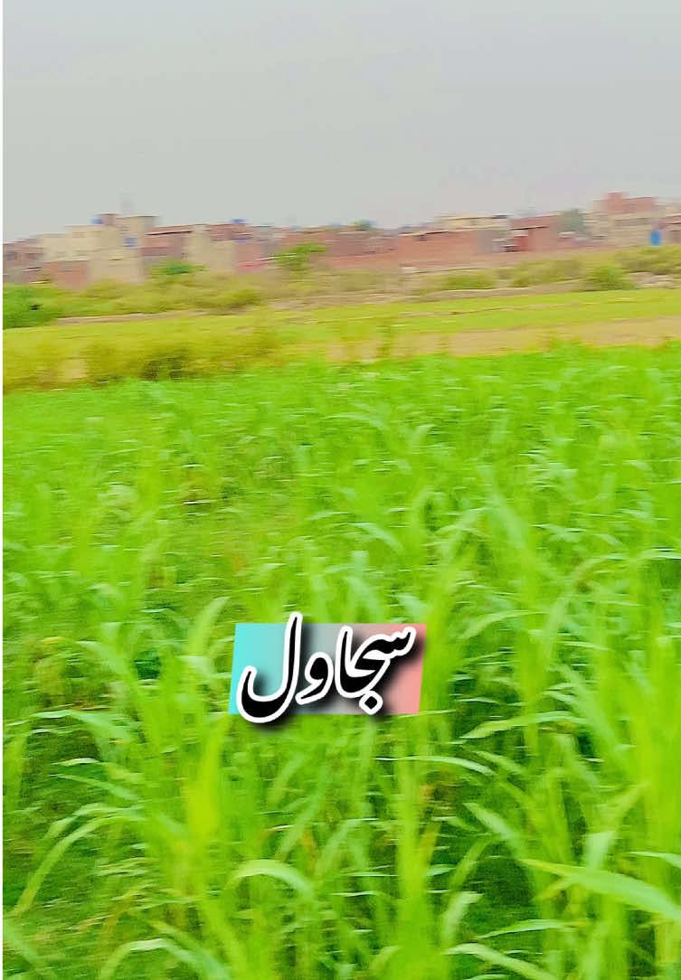 @🦅خانITS☠️