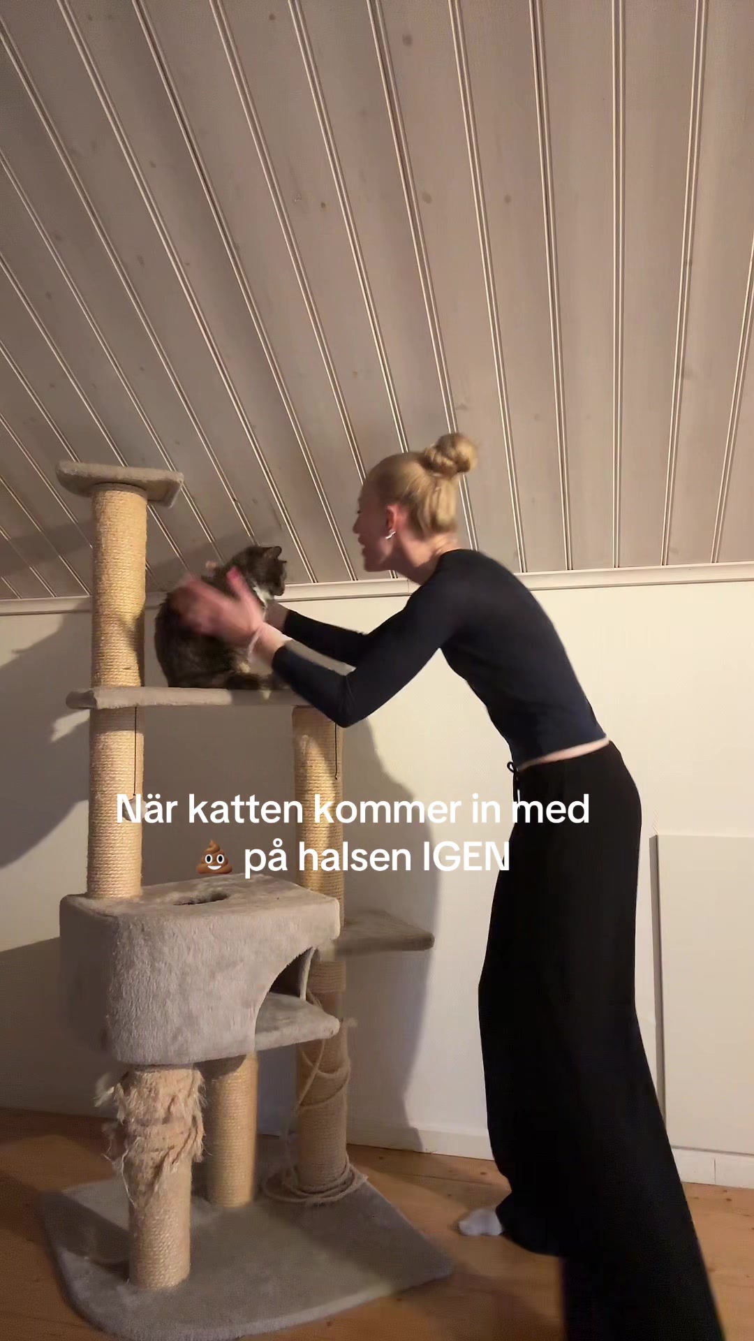 @Linnéa
