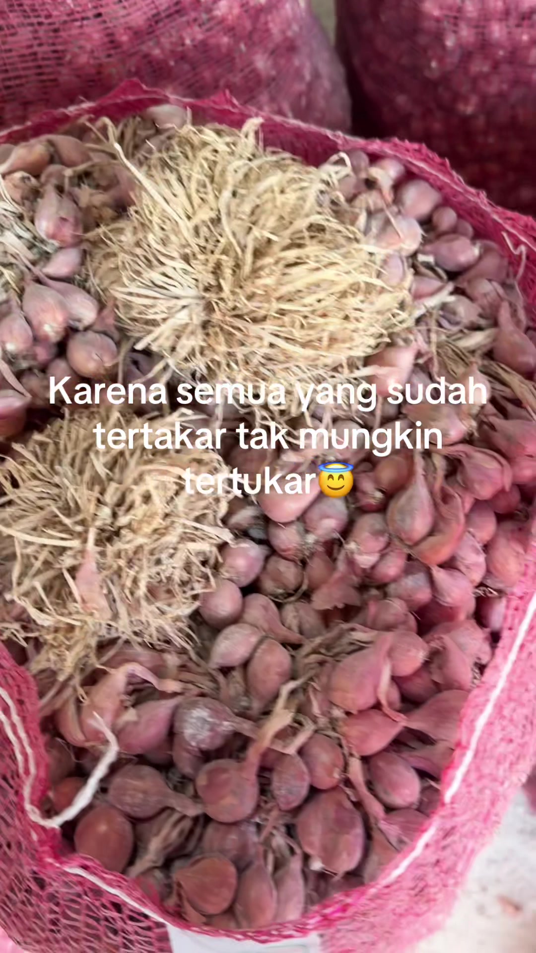 @Sinar Bawang