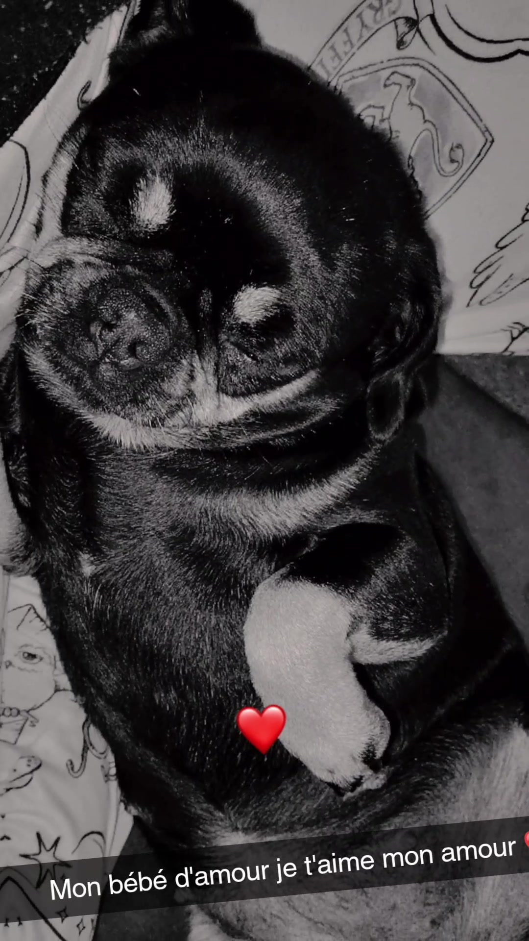 @sara❤️