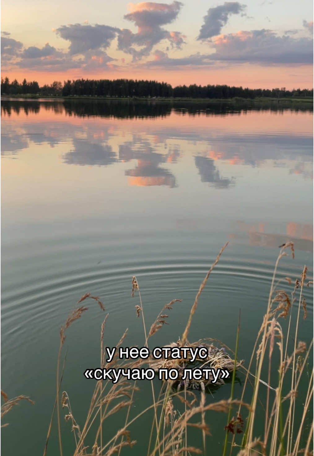 @ева¿