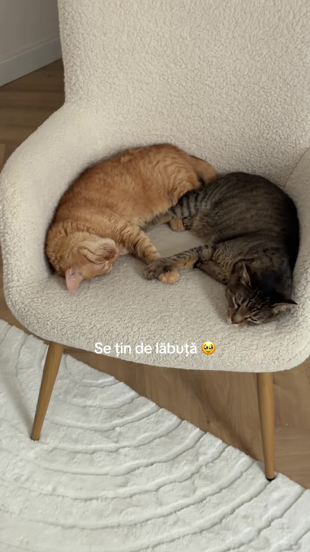 @Andra Teodoru