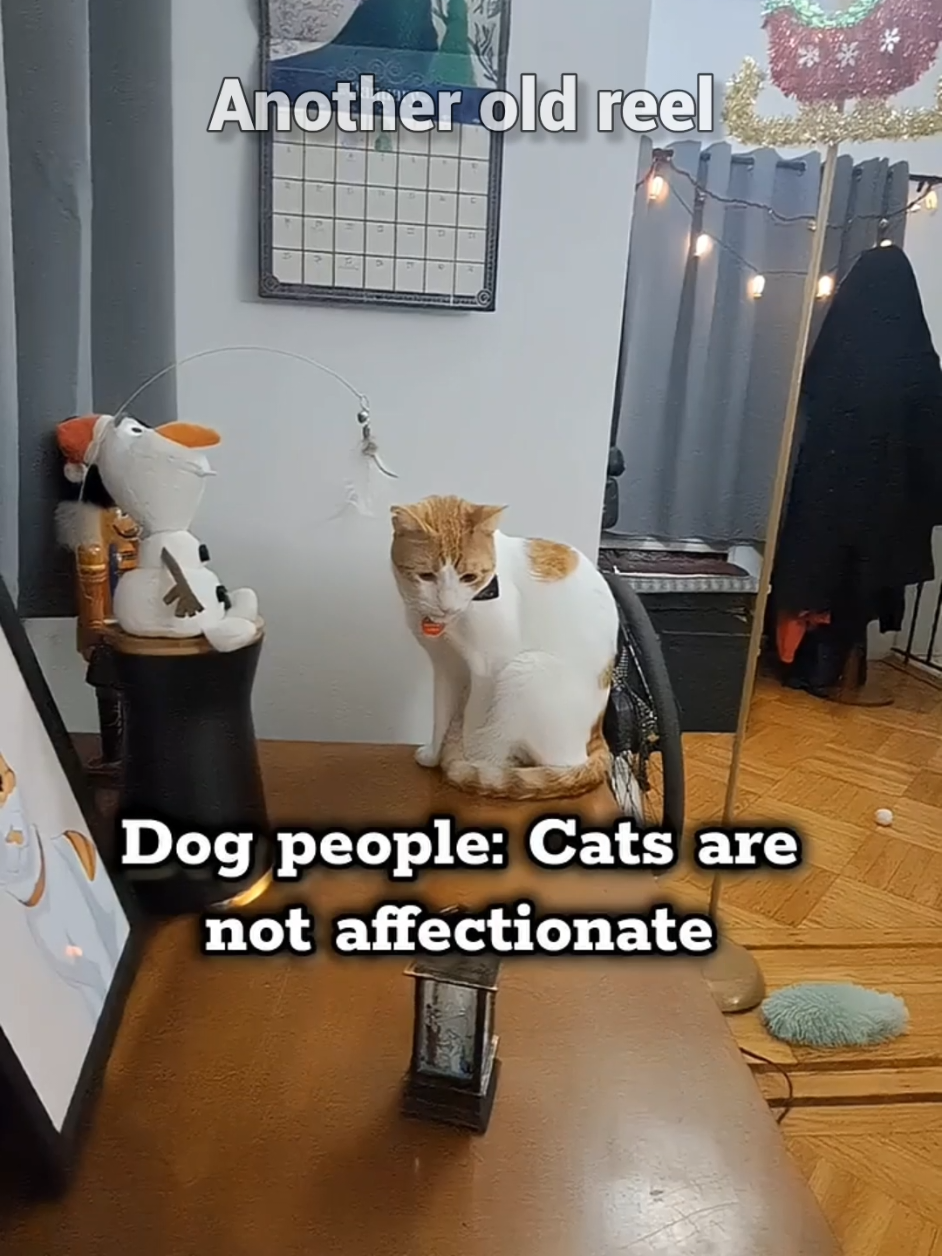 @Candice & Weasley