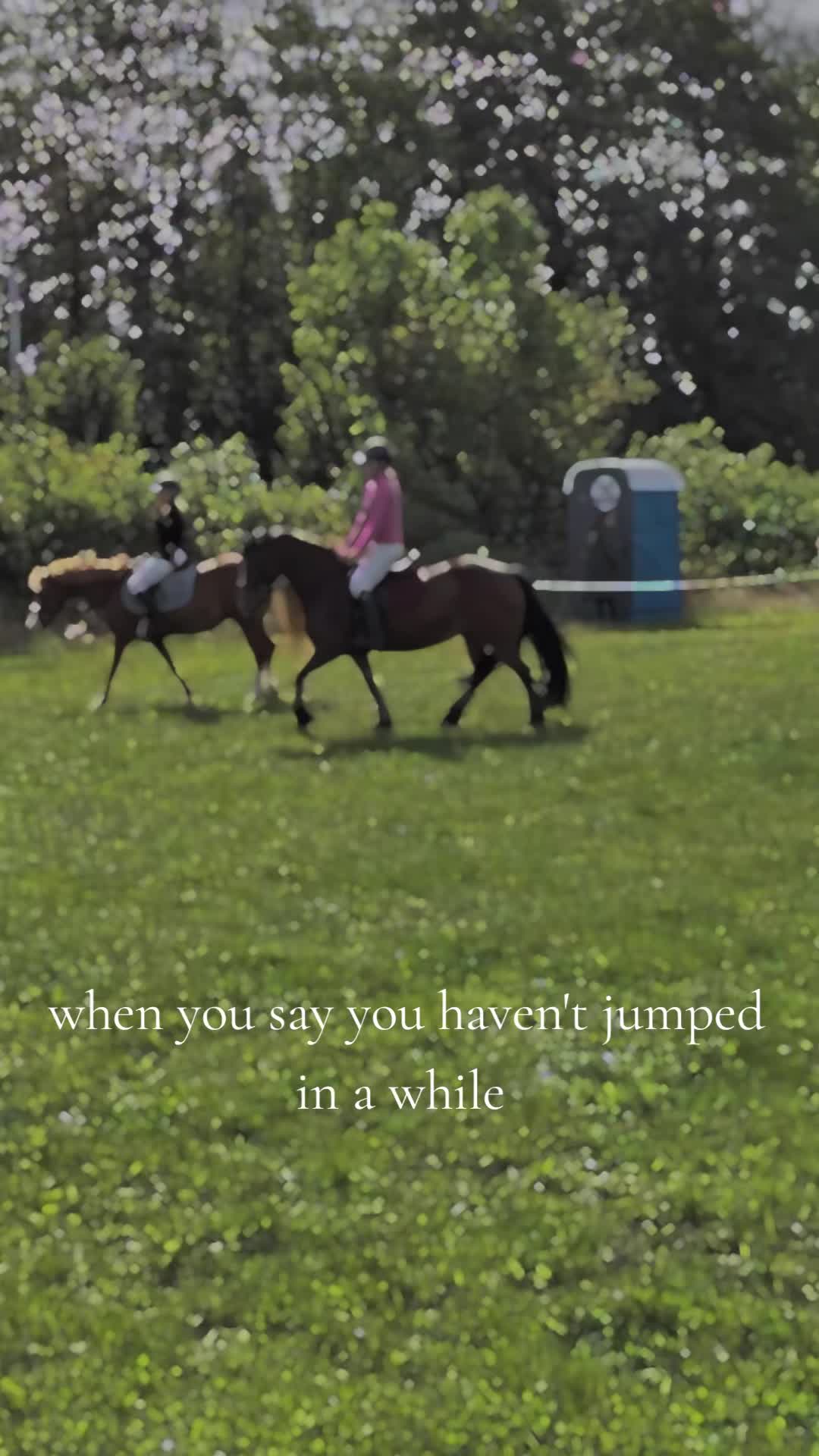 @Skye and the ponies