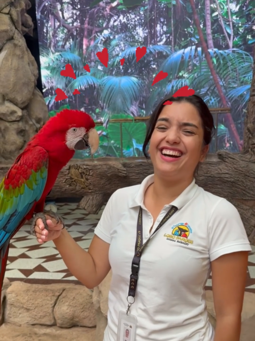 @Loro Parque