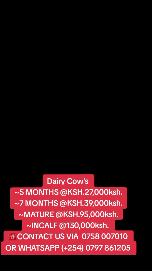 @OFFICIAL GICHEHA FARM RONGAI