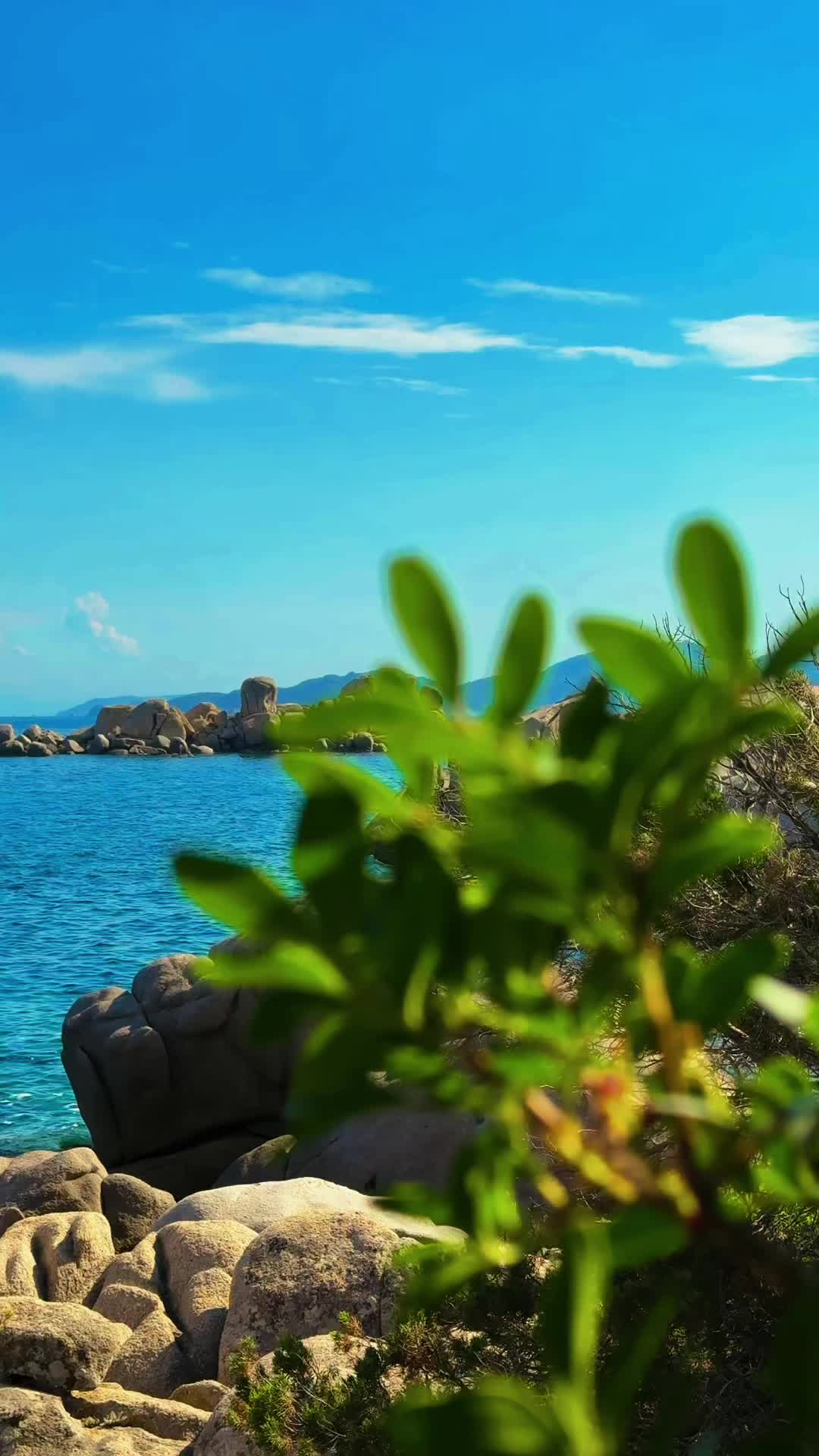 @☀️Elena🌜☘️🌾🌻🌺
