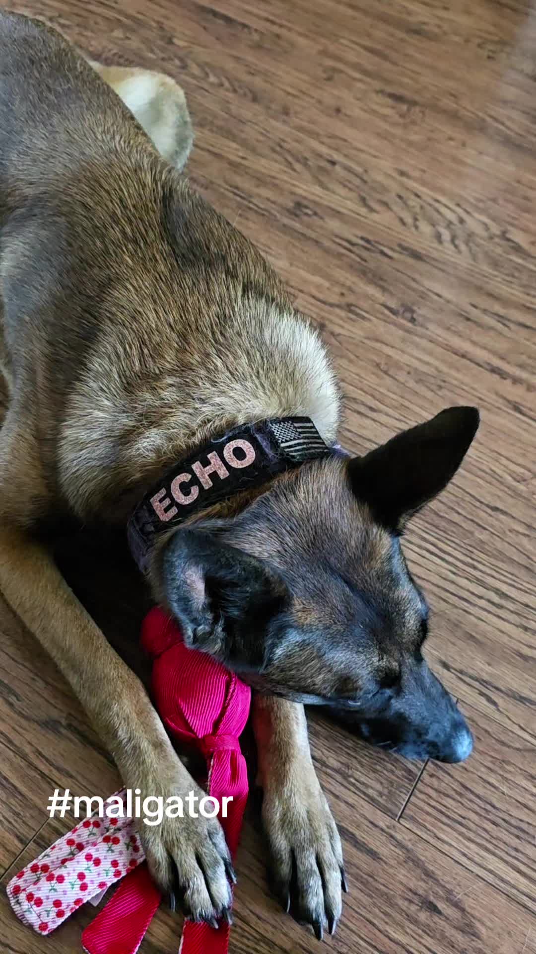 @Echo!