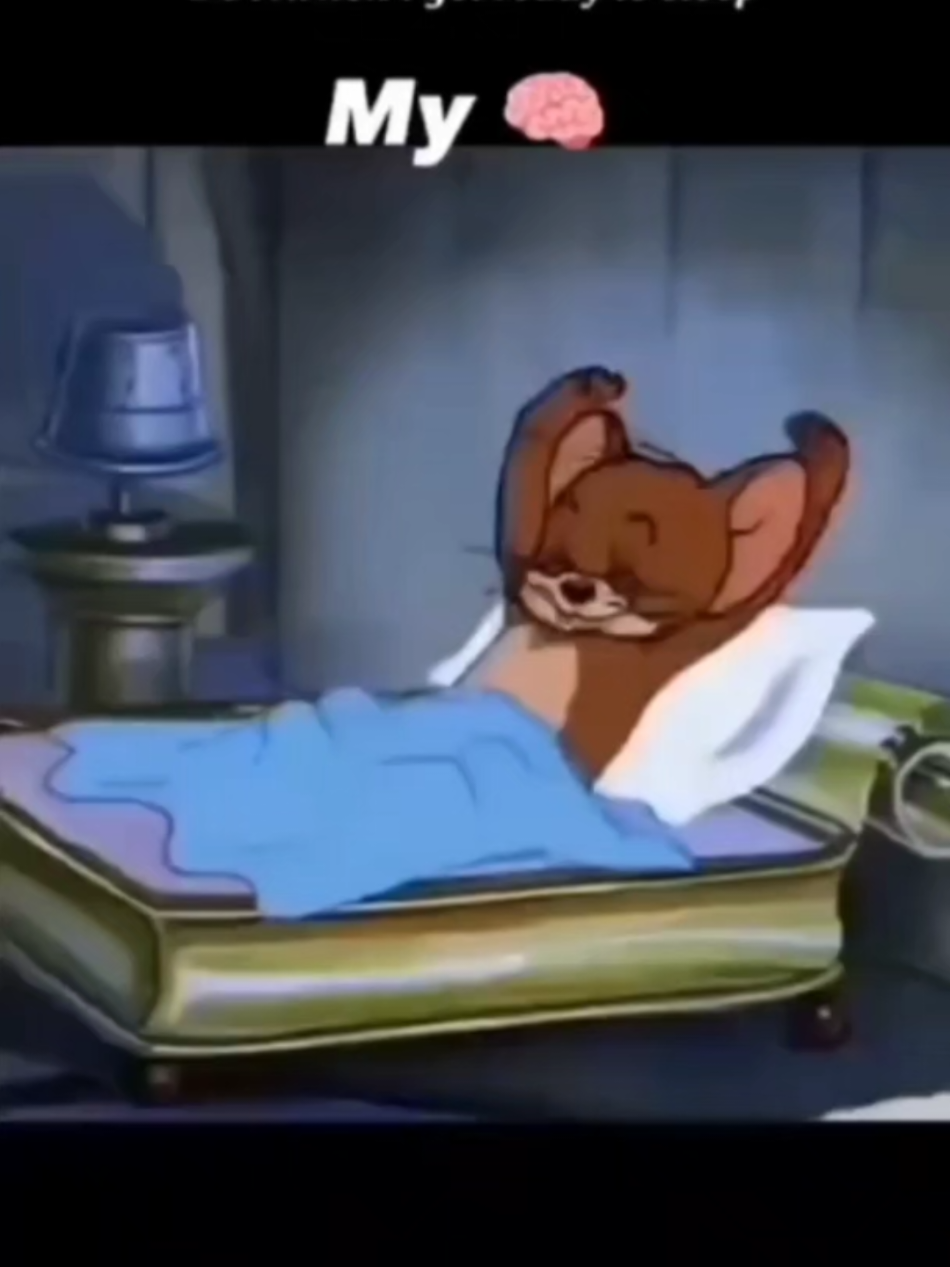 @Toby Mongoose