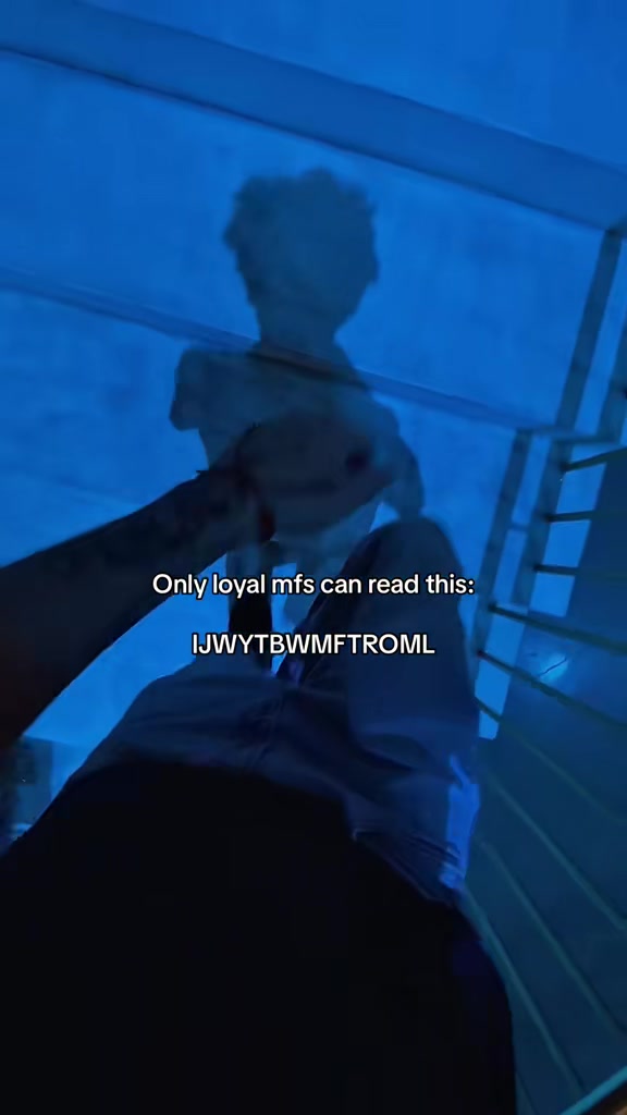 @6vlex🦉