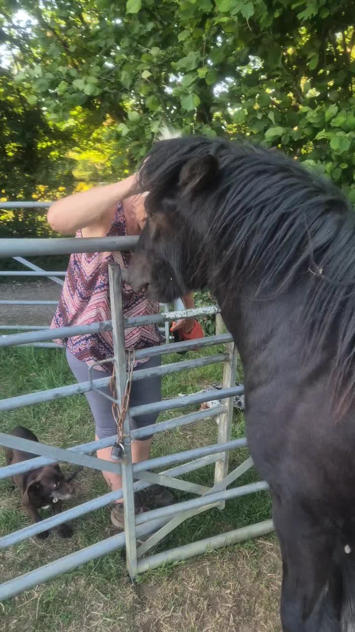 @Alfie & Daisy-May 💙🐴❤️🌻