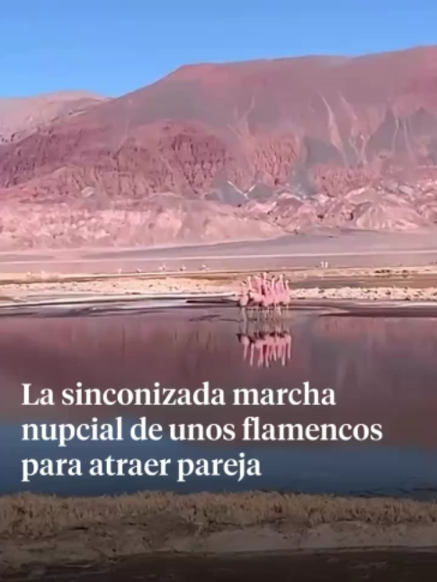 @La Vanguardia 🗞