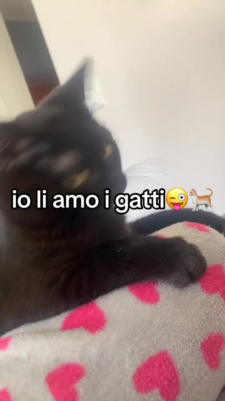 @demonia