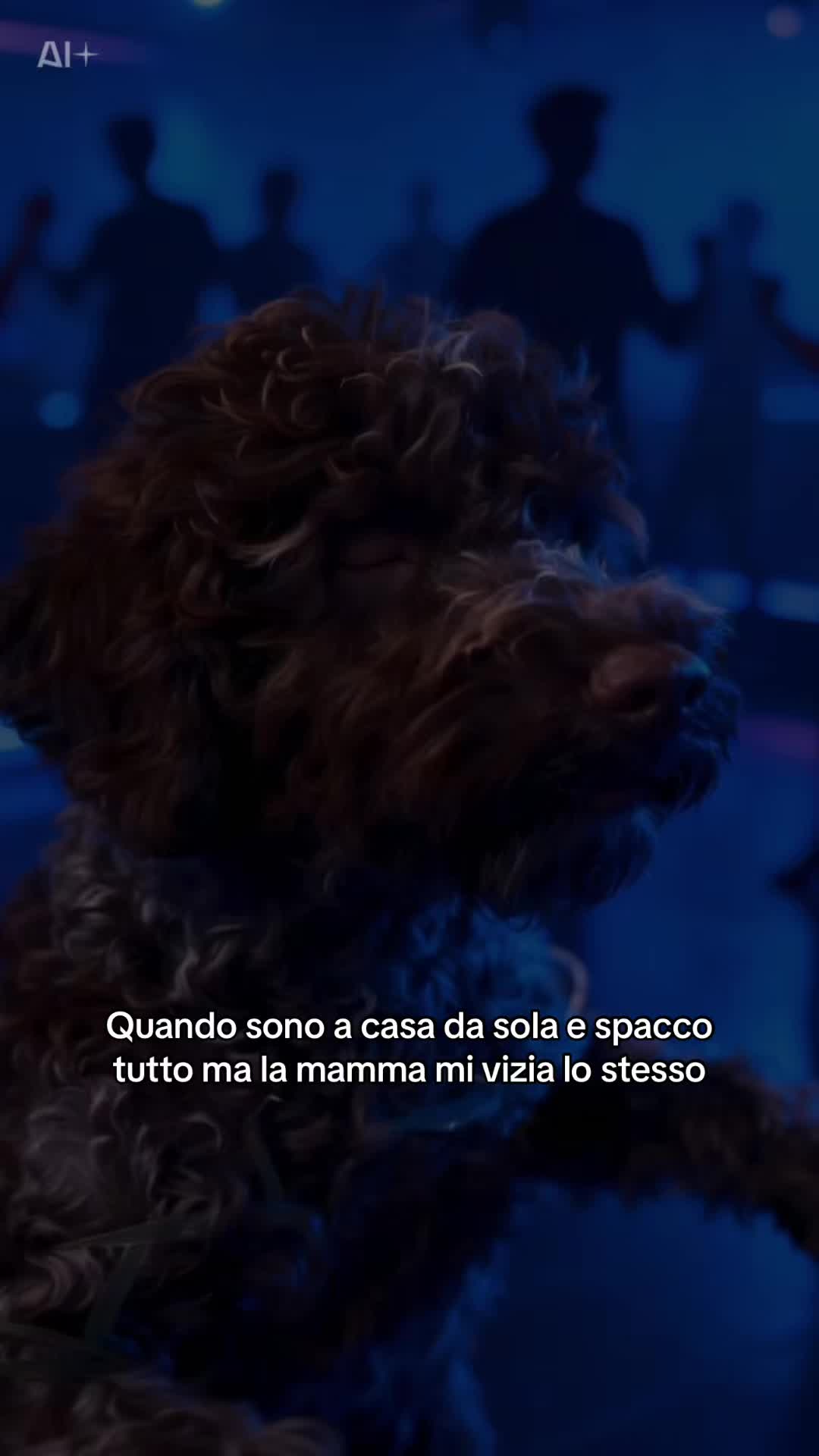 @alessiavanzan