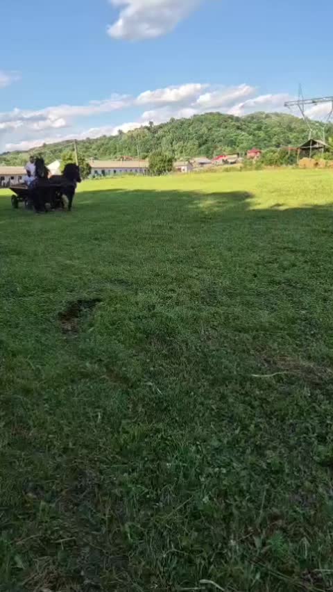 @👑alina🐎👑