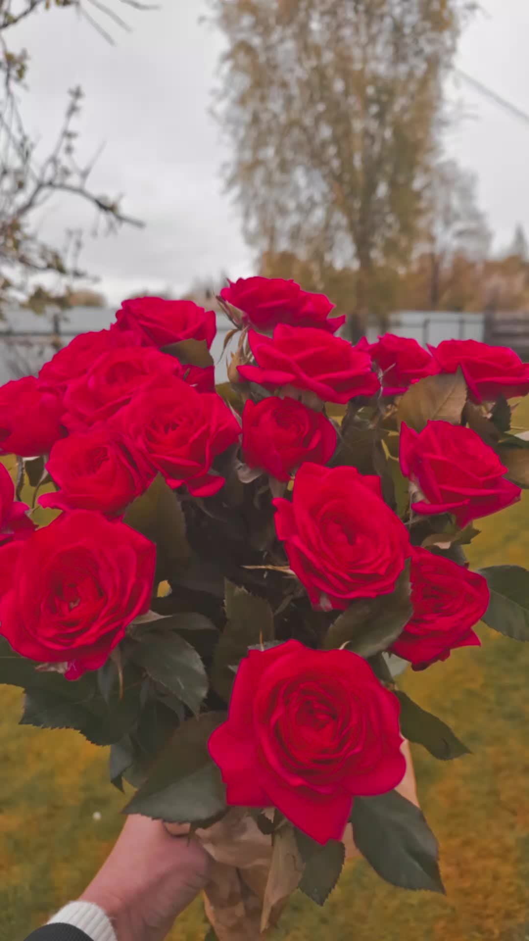 @Lina Selvenienė
