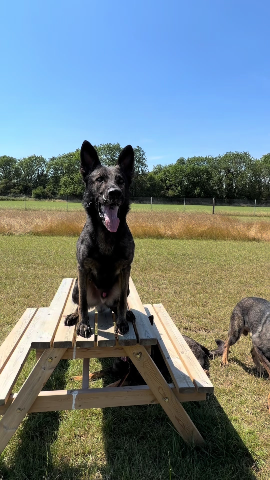 @Vonbekkas GSD