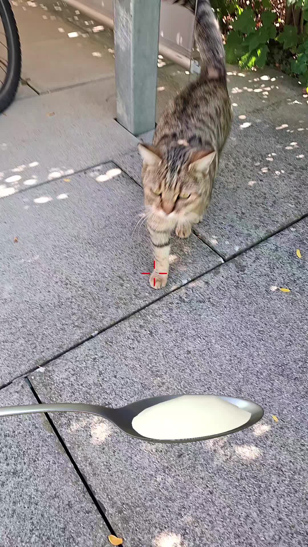 @Seasoned_Fries