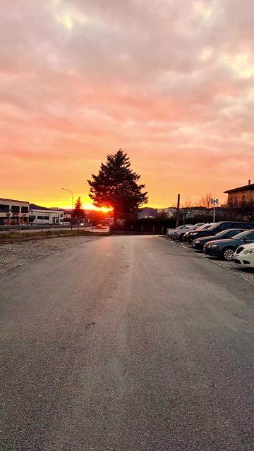 @Ercoli Auto