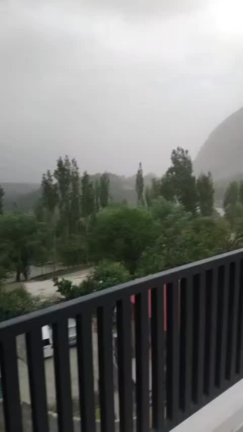 @Haya