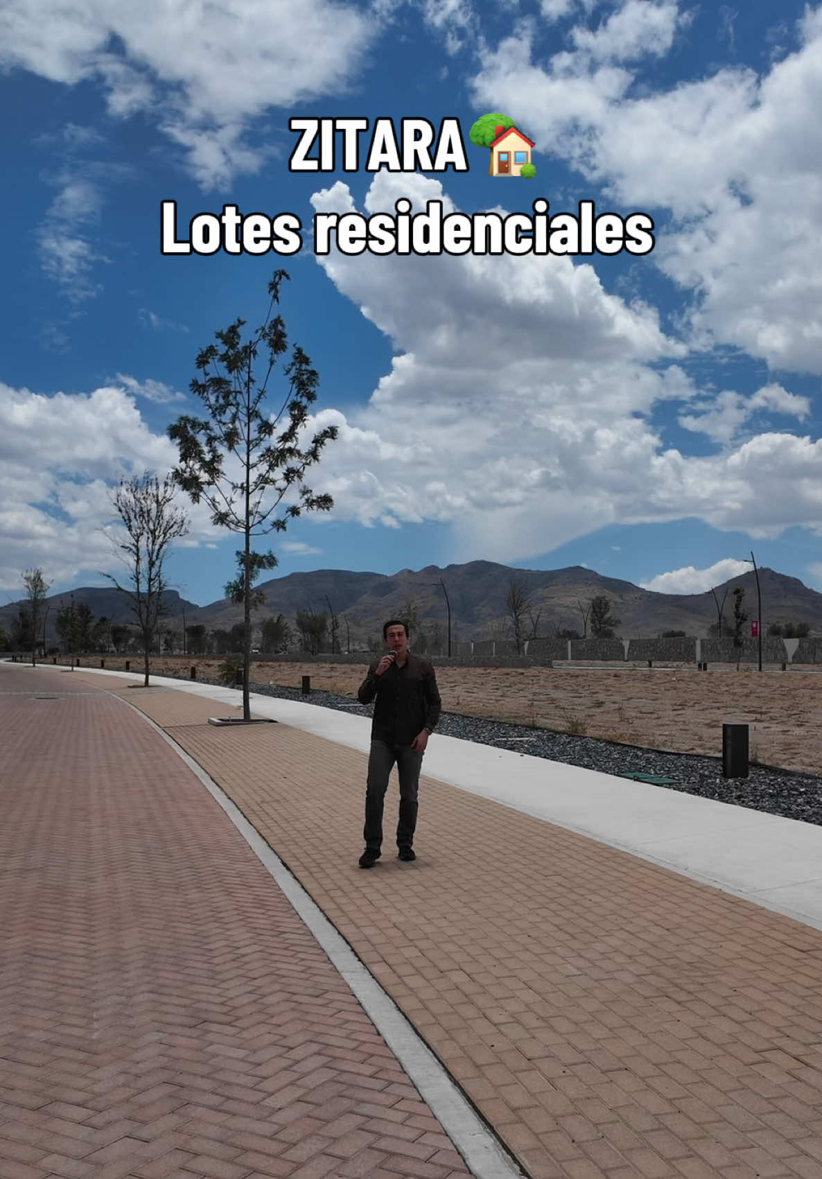 @Grupo Rolo