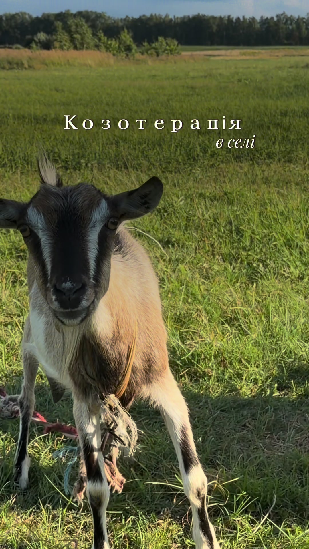 @Саша в квадраті 🧑🧒 UGC