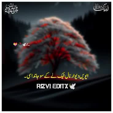 @Rizvi editx 🕊️