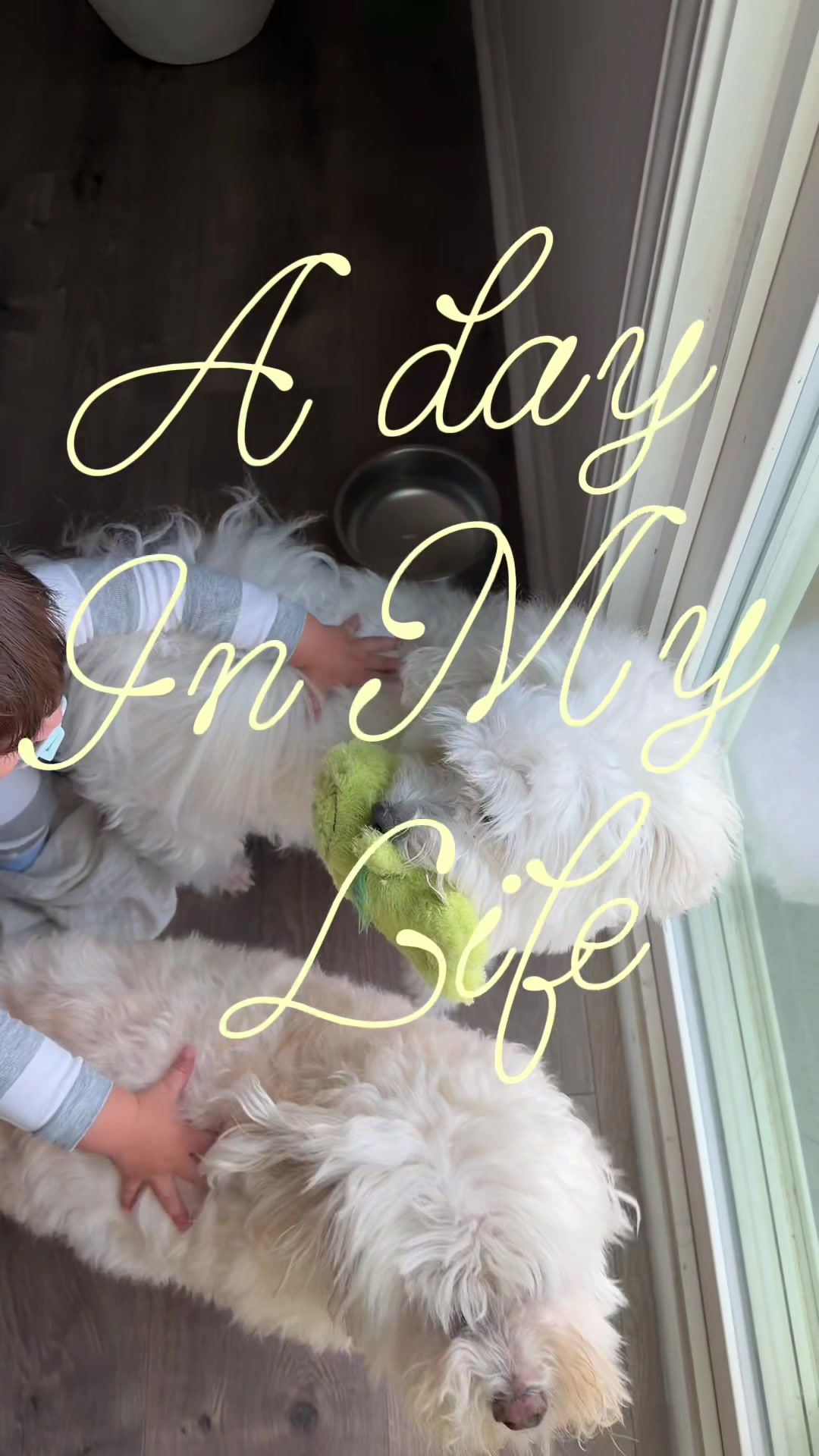 @Ingrid Correa&mdash;sahm + lifestyle