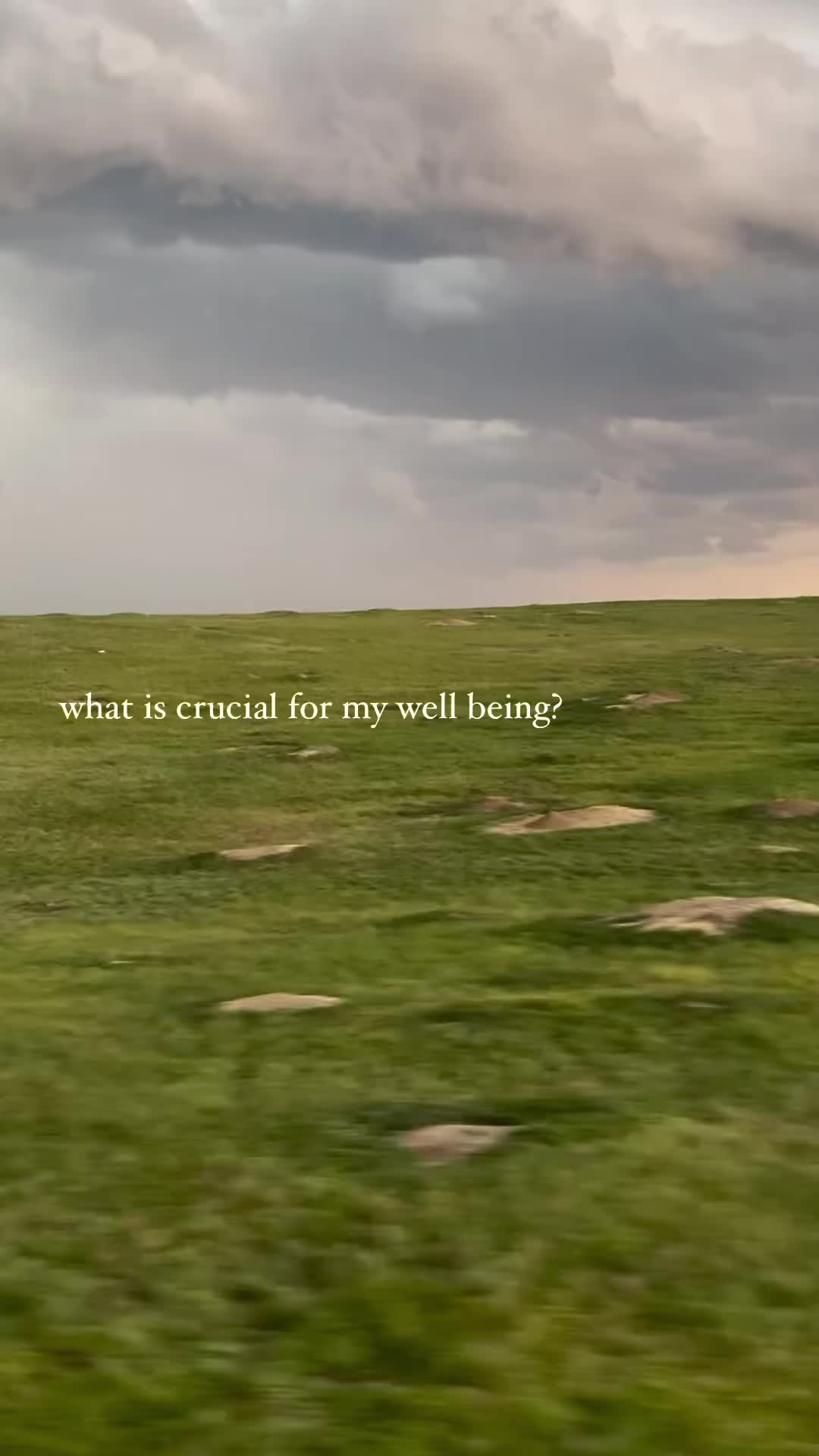 @Cait Wolf | Herbalist