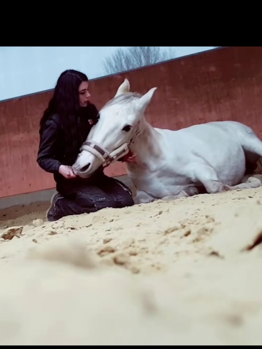 @Lisas kleine Ranch 🐴