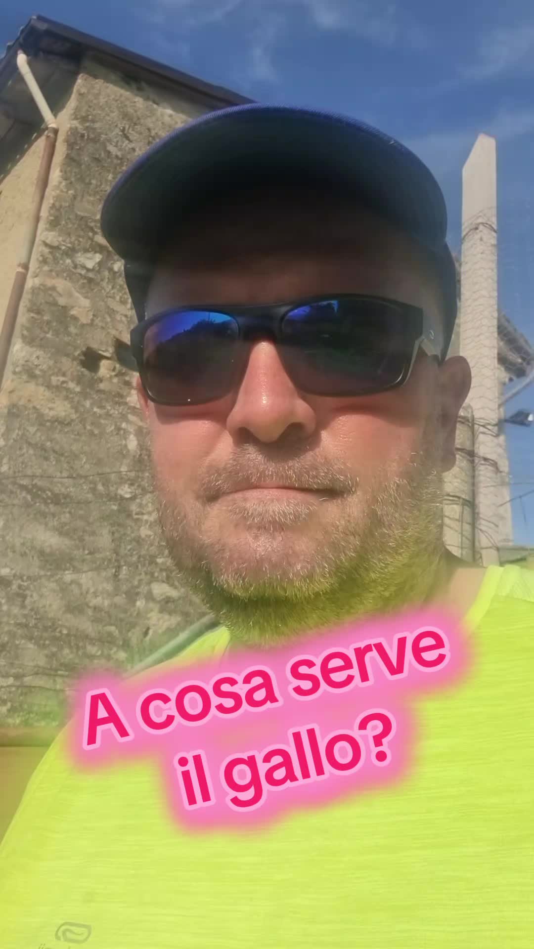 @Il leone e la gallina