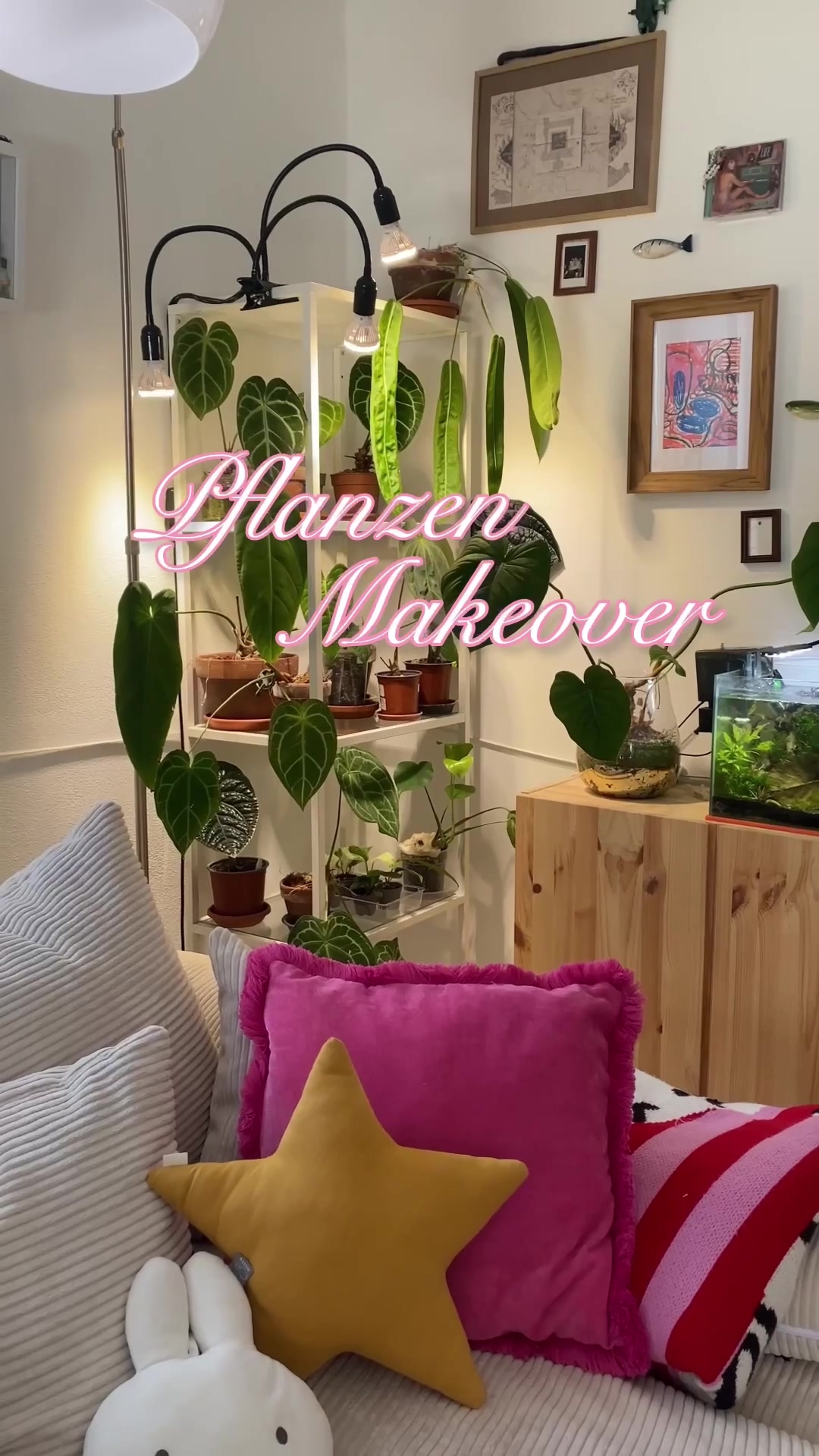 @pflanzdirwas 🌻🪴