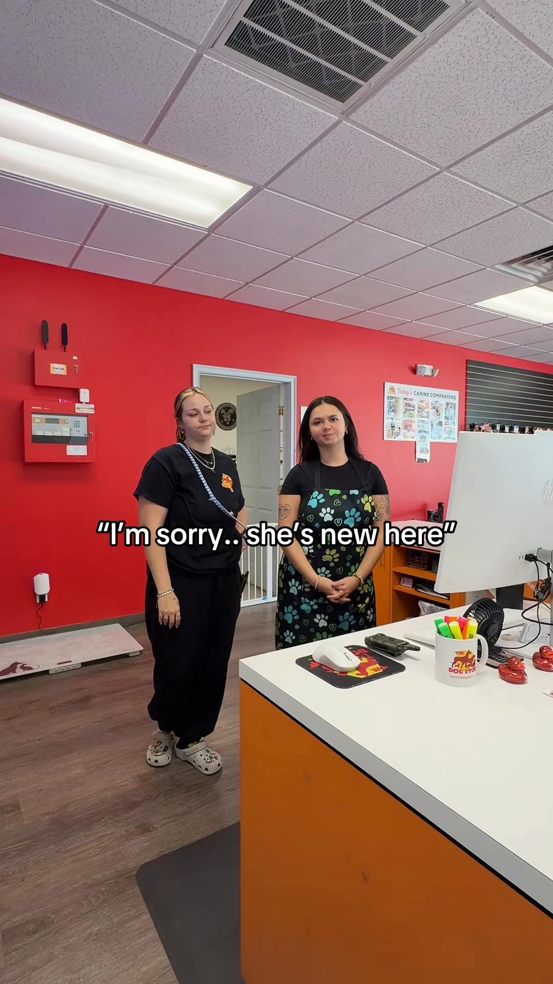 @The Dog Stop, Stuart FL๐๐พ๐
