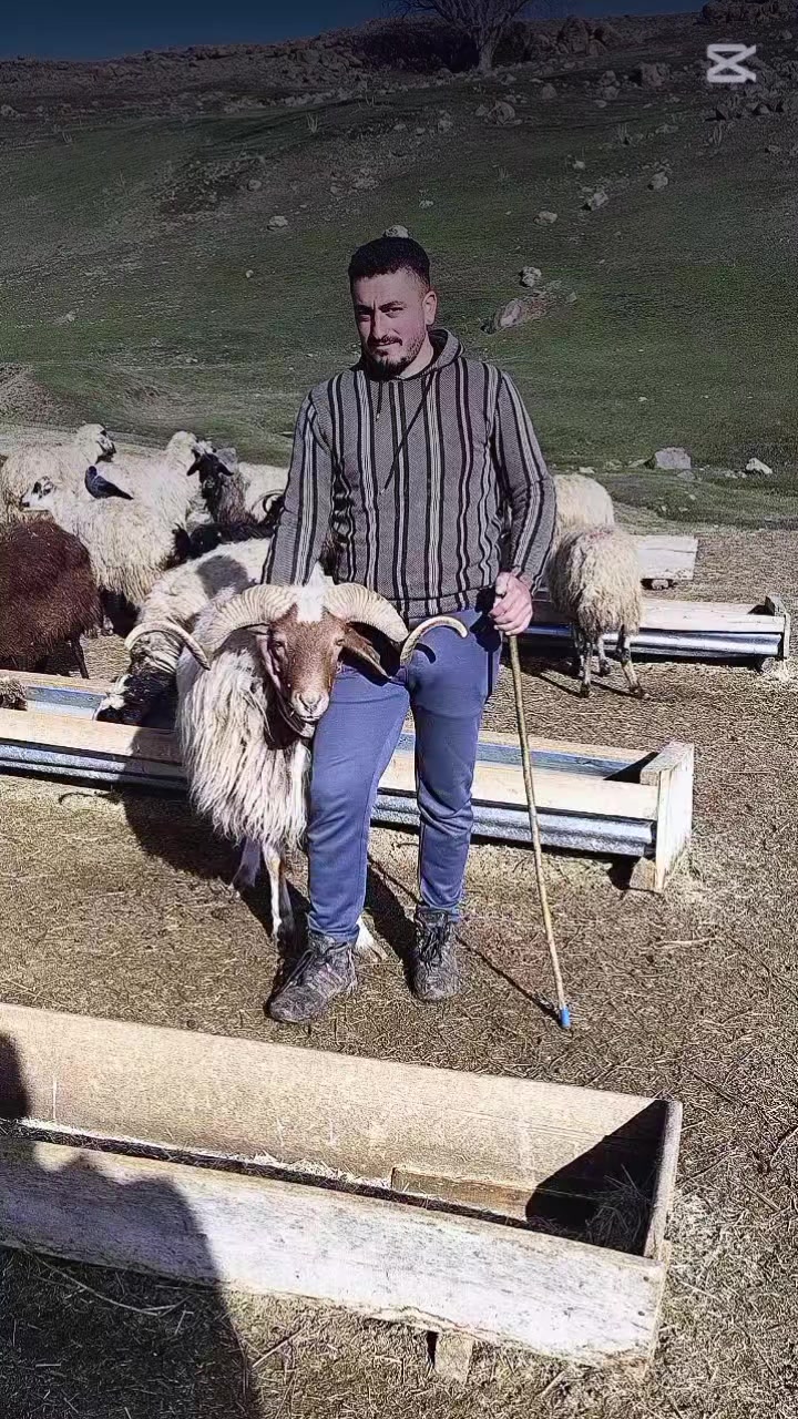 @Maşallah Turan