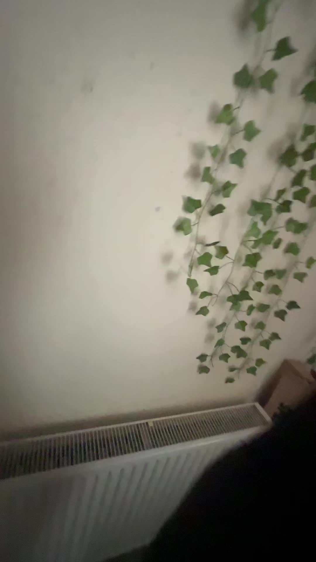 @𝐌𝐞𝐥𝐨𝐝𝐲🫧