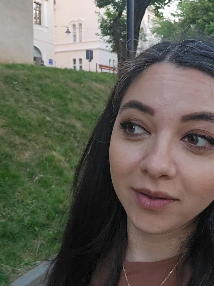 @Angela Gheonea